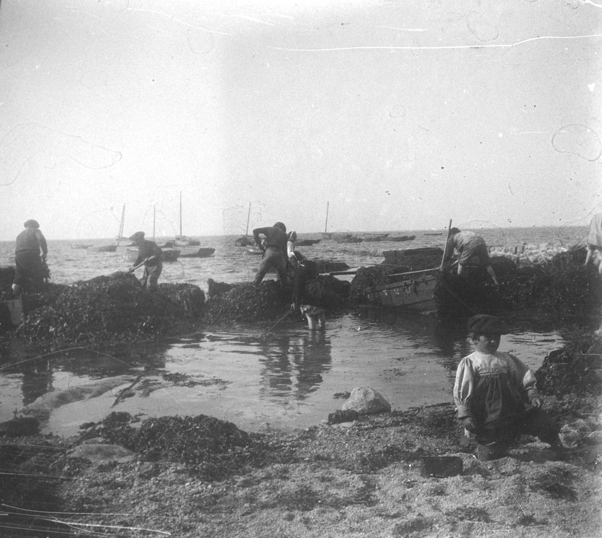 FRAD029 1NUM1 06787 (1)